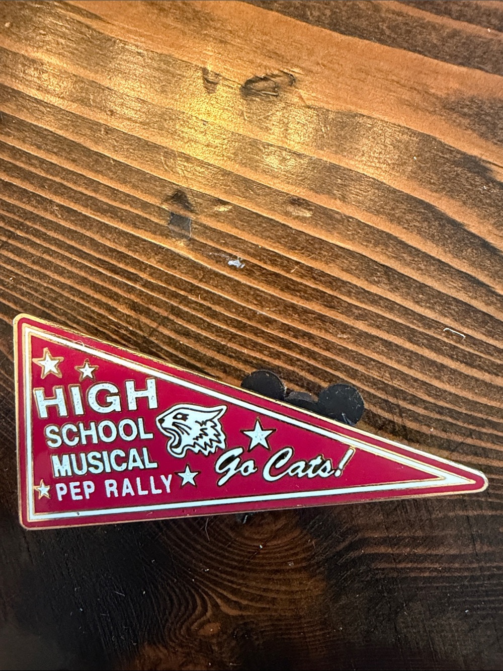 Disney Pin 2007 High School Musical Pep Rally Pennant Go Cats Wildcat Spirit